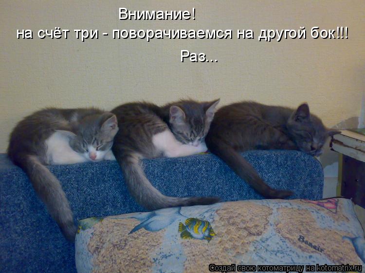 Внимание! на счёт три - поворачиваемся на другой бок!!! Раз...... Котоматрица: Внимание! на счёт три - поворачиваемся на другой бок!!! Раз...