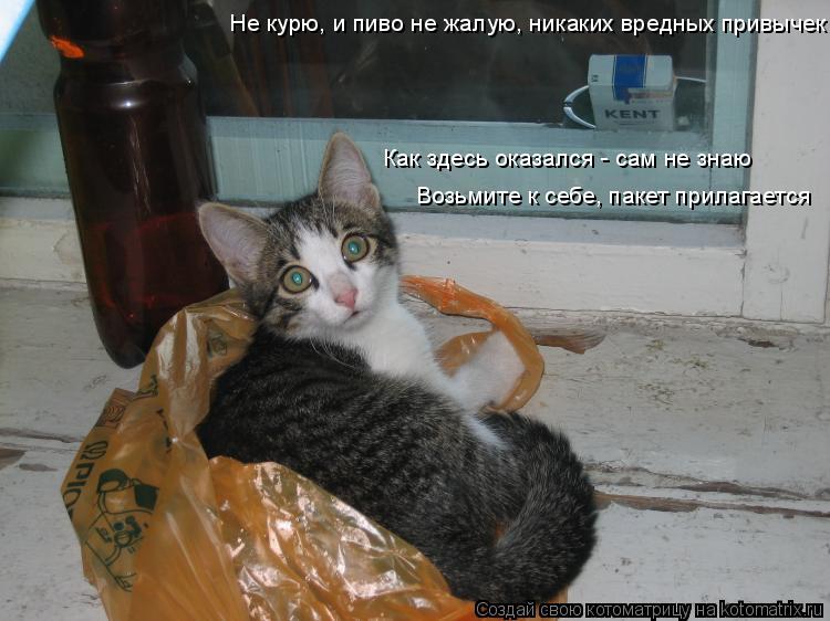 Не курю, и пиво не жалую, никаких вредных привычек Как здесь оказался - сам не знаю Возьмите к себе, ... Котоматрица: Не курю, и пиво не жалую, никаких вредных привычек Как здесь оказался - сам не знаю Возьмите к себе, пакет прилагается