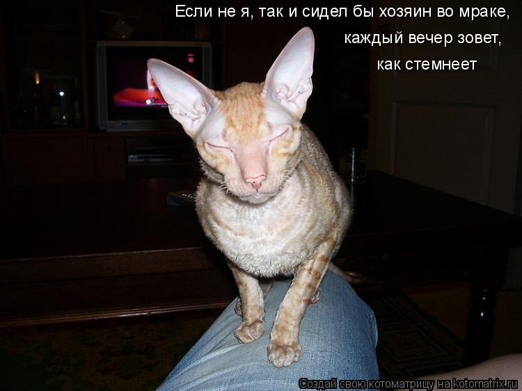 Если не я, так и сидел бы хозяин во мраке, каждый вечер зовет, как стемнеет... Котоматрица: Если не я, так и сидел бы хозяин во мраке, каждый вечер зовет, как стемнеет