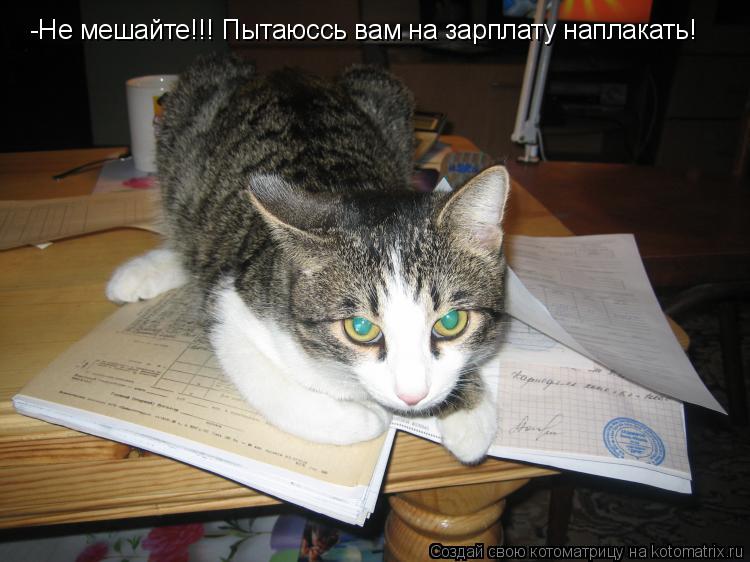 -Не мешайте!!! Пытаюссь вам на зарплату наплакать!... Котоматрица: -Не мешайте!!! Пытаюссь вам на зарплату наплакать!