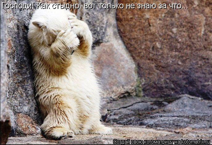 Господи! Как стыдно, вот только не знаю за что...... Котоматрица: Господи! Как стыдно, вот только не знаю за что...