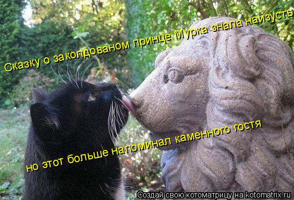 Сказку о заколдованом принце Мурка знала наизусть но этот больше напоминал каменного гостя... Котоматрица: Сказку о заколдованом принце Мурка знала наизусть но этот больше напоминал каменного гостя