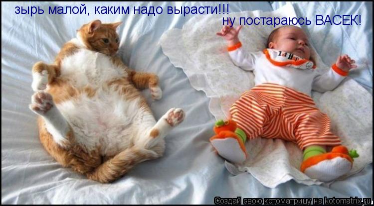 зырь малой, каким надо вырасти!!! ну постараюсь ВАСЕК!... Котоматрица: зырь малой, каким надо вырасти!!! ну постараюсь ВАСЕК!