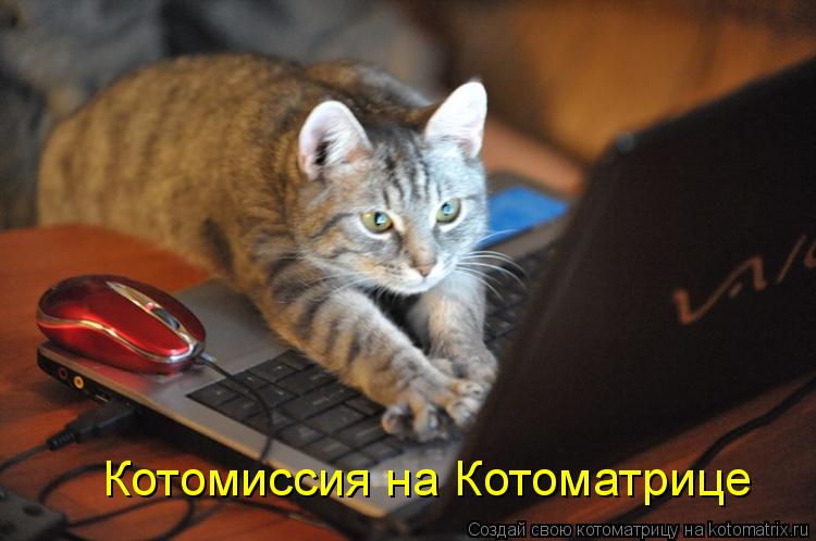 Котомиссия на Котоматрице... Котоматрица: Котомиссия на Котоматрице