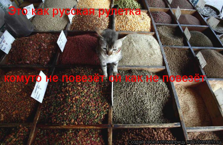 Это как русская рулетка комуто не повезёт ой как не повезёт... Котоматрица: Это как русская рулетка комуто не повезёт ой как не повезёт