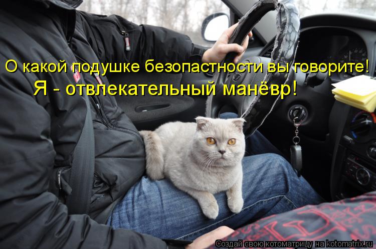О какой подушке безопастности вы говорите! Я - отвлекательный манёвр!... Котоматрица: О какой подушке безопастности вы говорите! Я - отвлекательный манёвр!