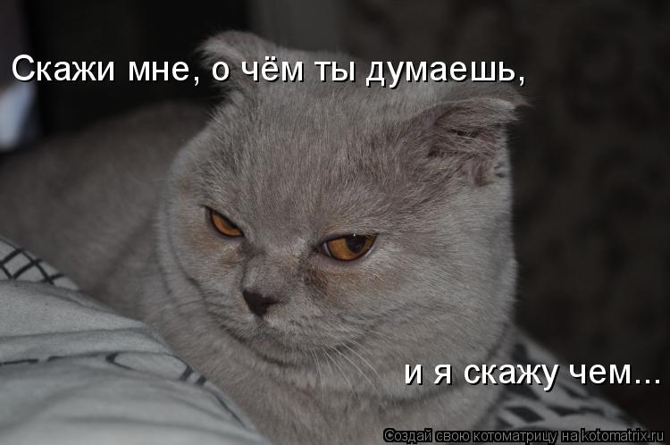 Скажи мне, о чём ты думаешь, и я скажу чем...... Котоматрица: Скажи мне, о чём ты думаешь, и я скажу чем...
