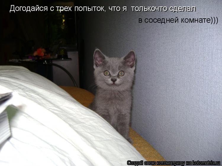 Догодайся с трех попыток, что я толькочто сделал в соседней комнате)))... Котоматрица: Догодайся с трех попыток, что я толькочто сделал в соседней комнате)))