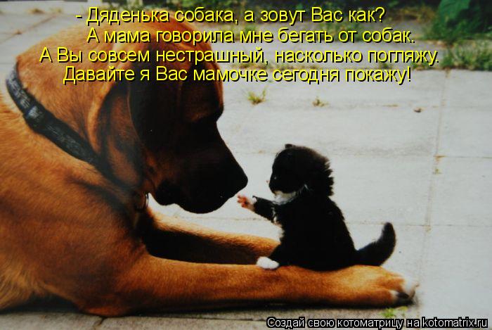 - Дяденька собака, а зовут Вас как? А мама говорила мне бегать от собак. А Вы совсем нестрашный, наск... Котоматрица: - Дяденька собака, а зовут Вас как? А мама говорила мне бегать от собак. А Вы совсем нестрашный, насколько погляжу. Давайте я Вас мамочке сего