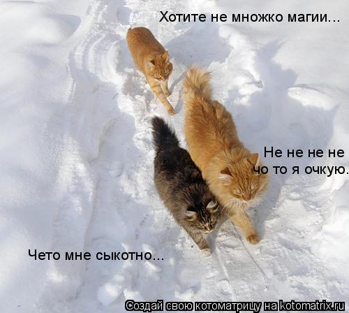 Хотите не множко магии... Чето мне сыкотно... Не не не не чо то я очкую..... Котоматрица: Хотите не множко магии... Чето мне сыкотно... Не не не не чо то я очкую..