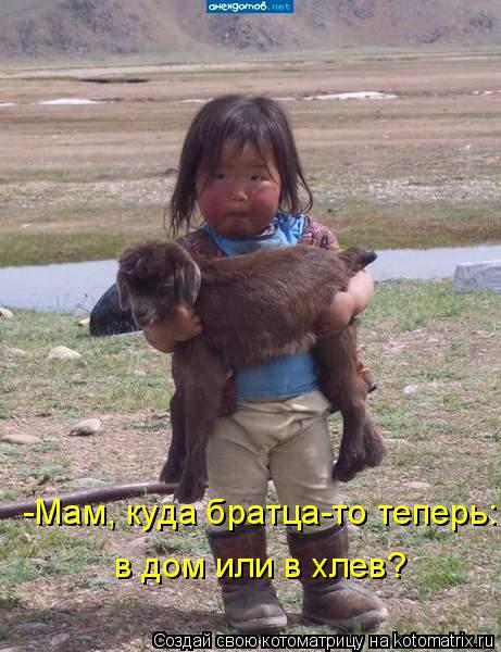 -Мам, куда братца-то теперь: в дом или в хлев?... Котоматрица: -Мам, куда братца-то теперь: в дом или в хлев?