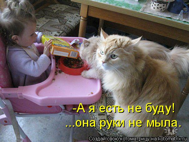 -А я есть не буду! ...она руки не мыла.... Котоматрица: -А я есть не буду! ...она руки не мыла.