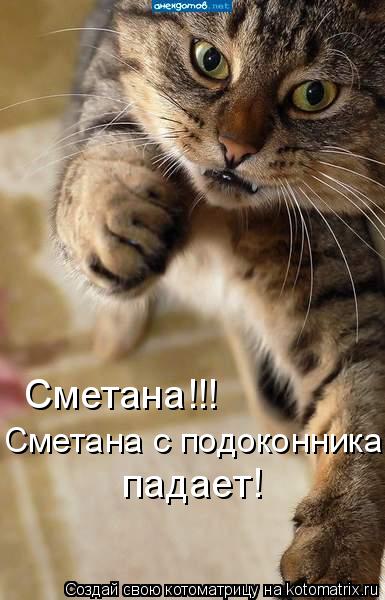 Сметана!!! Сметана с подоконника падает!... Котоматрица: Сметана!!! Сметана с подоконника падает!