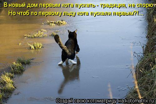 В новый дом первым кота пускать - традиция, не спорю Но чтоб по первому льду кота пускали первым?!...... Котоматрица: В новый дом первым кота пускать - традиция, не спорю Но чтоб по первому льду кота пускали первым?!...