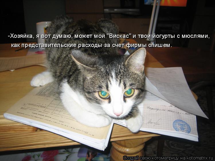 -Хозяйка, я вот думаю, может мой "Вискас" и твои йогурты с мюслями, как представительские расходы за... Котоматрица: -Хозяйка, я вот думаю, может мой "Вискас" и твои йогурты с мюслями, как представительские расходы за счет фирмы спишем.