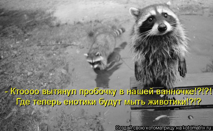 - Ктоооо вытянул пробочку в нашей ванночке!?!?! Где теперь енотики будут мыть животики!?!?... Котоматрица: - Ктоооо вытянул пробочку в нашей ванночке!?!?! Где теперь енотики будут мыть животики!?!?