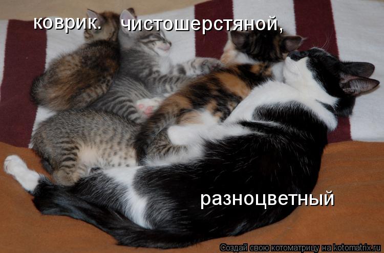 коврик. чистошерстяной, разноцветный... Котоматрица: коврик. чистошерстяной, разноцветный