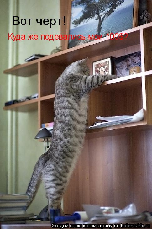 Вот черт! Куда же подевались мои 100$?... Котоматрица: Вот черт! Куда же подевались мои 100$?