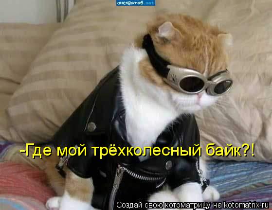 -Где мой трёхколесный байк?!... Котоматрица: -Где мой трёхколесный байк?!
