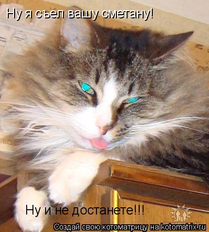 Ну я съел вашу сметану! Ну и не достанете!!!... Котоматрица: Ну я съел вашу сметану! Ну и не достанете!!!