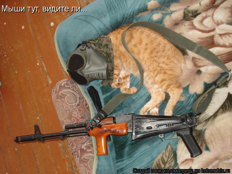Мыши тут, видите ли...... Котоматрица: Мыши тут, видите ли...