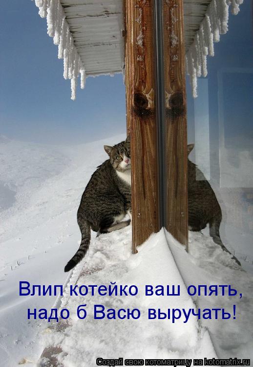 Влип котейко ваш опять, надо б Васю выручать!... Котоматрица: Влип котейко ваш опять, надо б Васю выручать!