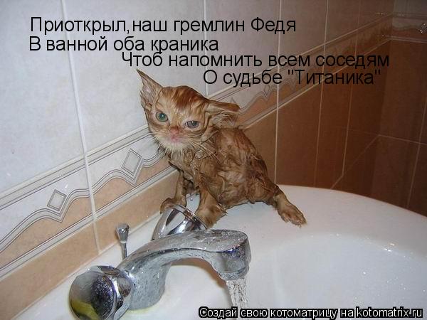 Приоткрыл,наш гремлин Федя В ванной оба краника Чтоб напомнить всем соседям О судьбе "Титаника"... Котоматрица: Приоткрыл,наш гремлин Федя В ванной оба краника Чтоб напомнить всем соседям О судьбе "Титаника"