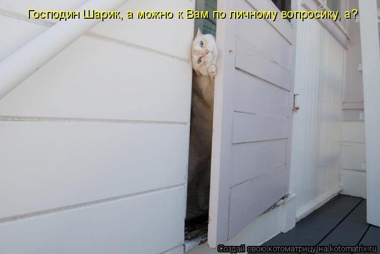 Господин Шарик, а можно к Вам по личному вопросику, а?... Котоматрица: Господин Шарик, а можно к Вам по личному вопросику, а?
