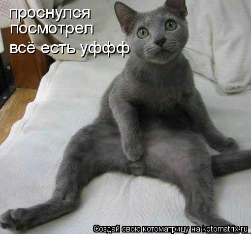 проснулся посмотрел всё есть уффф... Котоматрица: проснулся посмотрел всё есть уффф