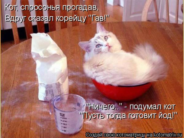 Котоматрица: Кот, спросонья прогадав, Вдруг сказал корейцу "Гав!" "Ничего.." - подумал кот "Пусть тогда готовит йод!"