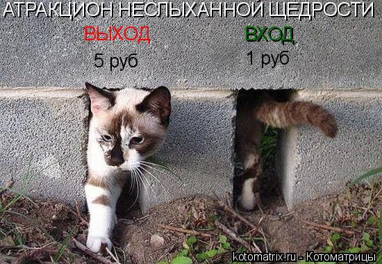 АТРАКЦИОН НЕСЛЫХАННОЙ ЩЕДРОСТИ ВЫХОД ВХОД 5 руб 1 руб... Котоматрица: АТРАКЦИОН НЕСЛЫХАННОЙ ЩЕДРОСТИ ВЫХОД ВХОД 5 руб 1 руб