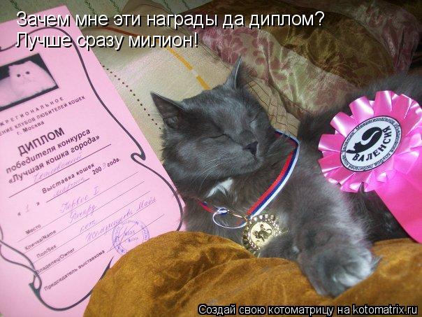 Зачем мне эти награды да диплом? Лучше сразу милион!... Котоматрица: Зачем мне эти награды да диплом? Лучше сразу милион!