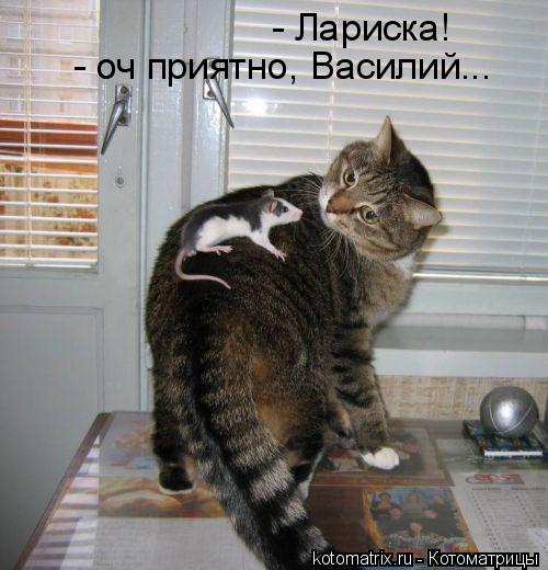 - Лариска! - оч приятно, Василий...... Котоматрица: - Лариска! - оч приятно, Василий...