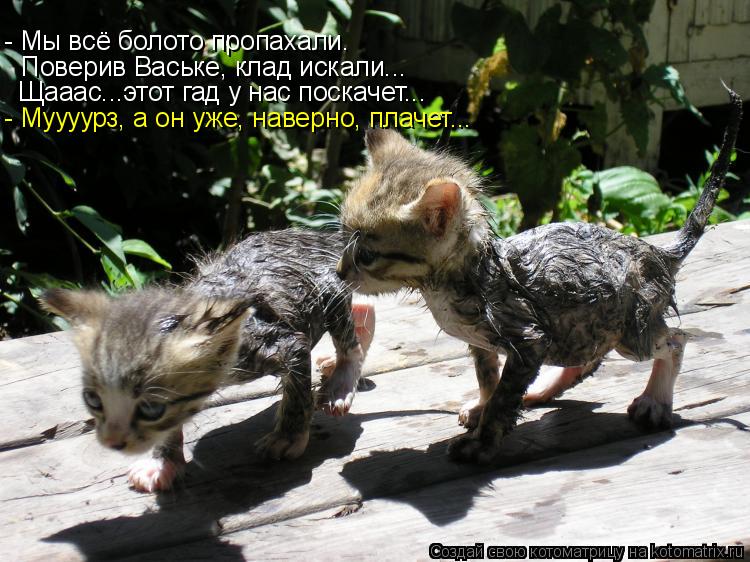 - Мы всё болото пропахали. Поверив Ваське, клад искали... Щааас...этот гад у нас поскачет... - Муууу... Котоматрица: - Мы всё болото пропахали. Поверив Ваське, клад искали... Щааас...этот гад у нас поскачет... - Муууурз, а он уже, наверно, плачет...