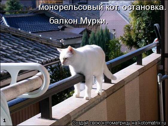 монорельсовый кот. остановка. балкон Мурки. балкон Мурки.... Котоматрица: монорельсовый кот. остановка. балкон Мурки. балкон Мурки.