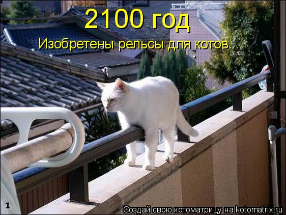 Котоматрица: 2100 год Изобретены рельсы для котов...