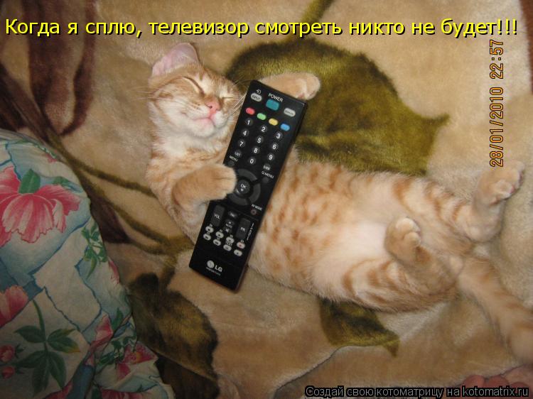 Котоматрица: Когда я сплю, телевизор смотреть никто не будет!!!