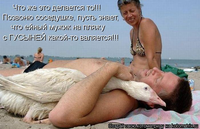Что же это делается то!!! Позвоню соседушке, пусть знает, что ейный мужик на пляжу с ГУСЫНЕЙ какой-т... Котоматрица: Что же это делается то!!! Позвоню соседушке, пусть знает, что ейный мужик на пляжу с ГУСЫНЕЙ какой-то валяется!!!