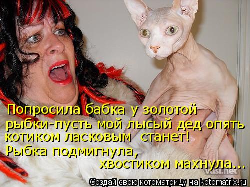 Попросила бабка у золотой рыбки-пусть мой лысый дед опять котиком ласковым станет! Рыбка подмигнула,... Котоматрица: Попросила бабка у золотой рыбки-пусть мой лысый дед опять котиком ласковым станет! Рыбка подмигнула, хвостиком махнула...