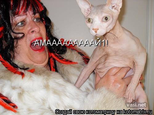 AMAAAAAAAAAЙ1!... Котоматрица: AMAAAAAAAAAЙ1!