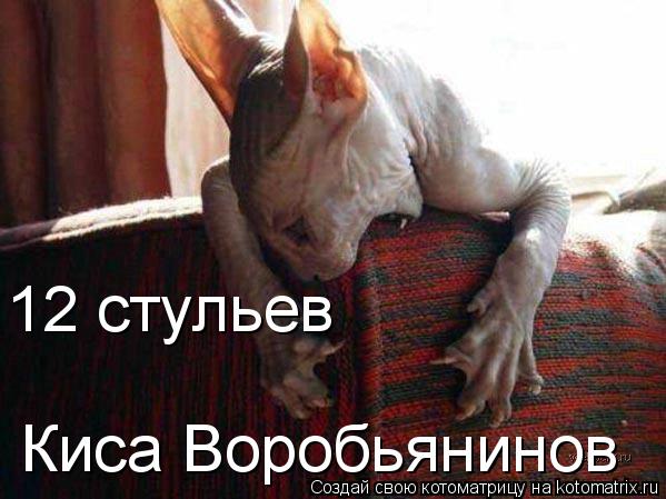 Киса Воробьянинов 12 стульев... Котоматрица: Киса Воробьянинов 12 стульев