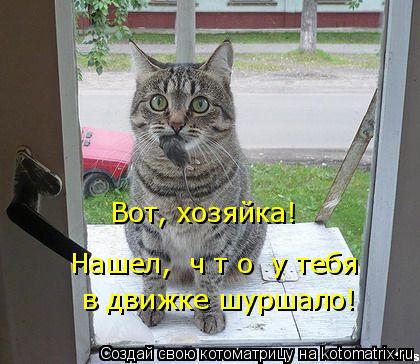 Котоматрица: Нашел,  ч т о  у тебя в движке шуршало! Вот, хозяйка!