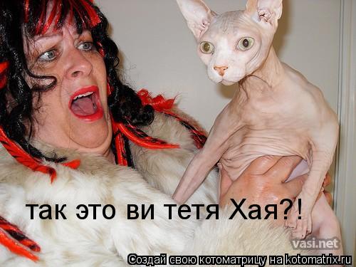 так это ви тетя Хая?!... Котоматрица: так это ви тетя Хая?!