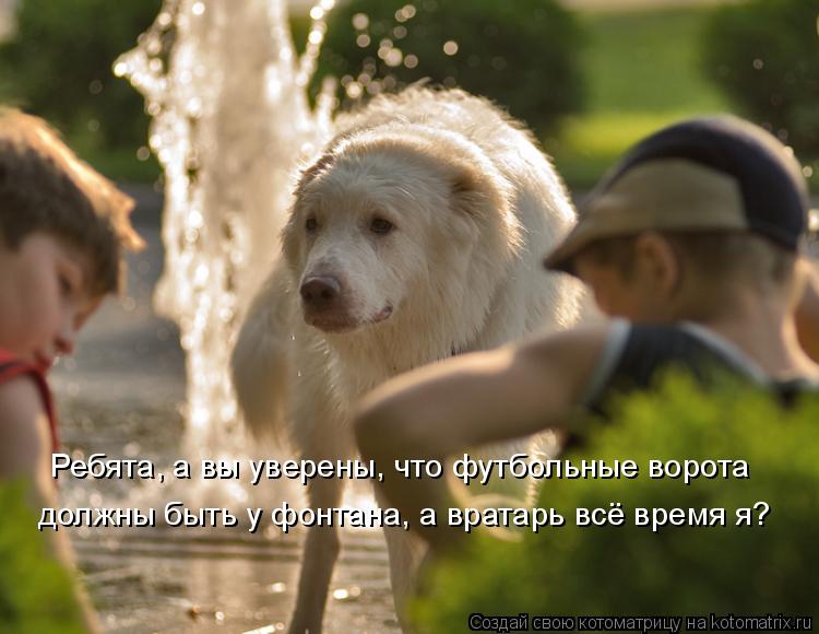 Ребята, а вы уверены, что футбольные ворота должны быть у фонтана, а вратарь всё время я?... Котоматрица: Ребята, а вы уверены, что футбольные ворота должны быть у фонтана, а вратарь всё время я?