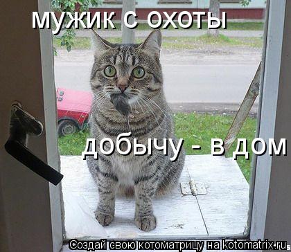 мужик с охоты добычу - в дом... Котоматрица: мужик с охоты добычу - в дом