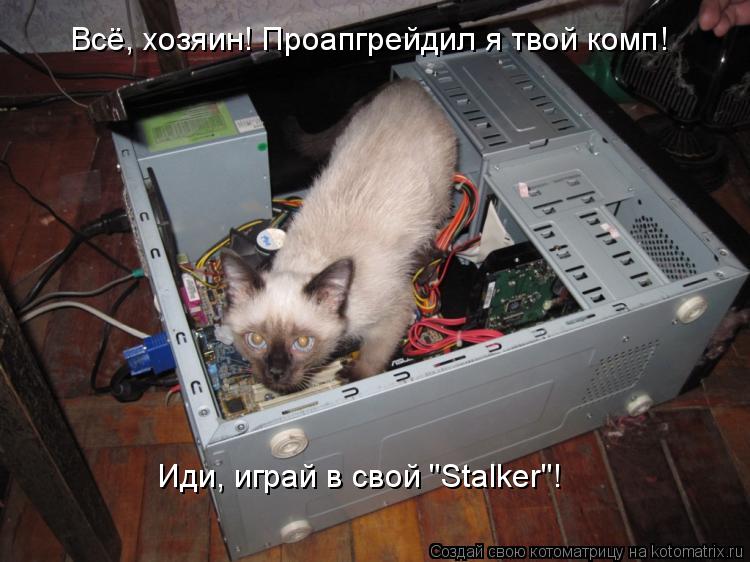 Всё, хозяин! Проапгрейдил я твой комп! Иди, играй в свой "Stalker"!... Котоматрица: Всё, хозяин! Проапгрейдил я твой комп! Иди, играй в свой "Stalker"!