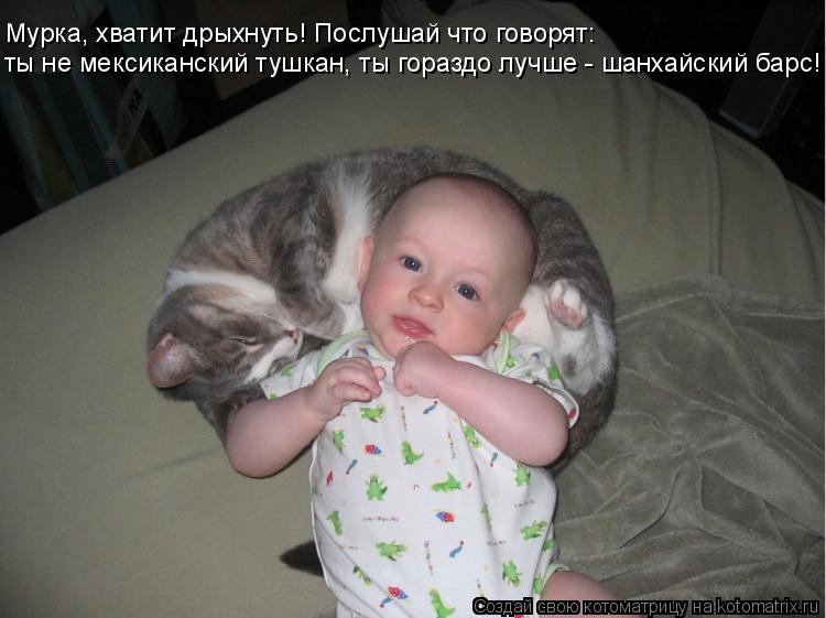 ты не мексиканский тушкан, ты гораздо лучше - шанхайский барс! Мурка, хватит дрыхнуть! Послушай что г... Котоматрица: ты не мексиканский тушкан, ты гораздо лучше - шанхайский барс! Мурка, хватит дрыхнуть! Послушай что говорят:
