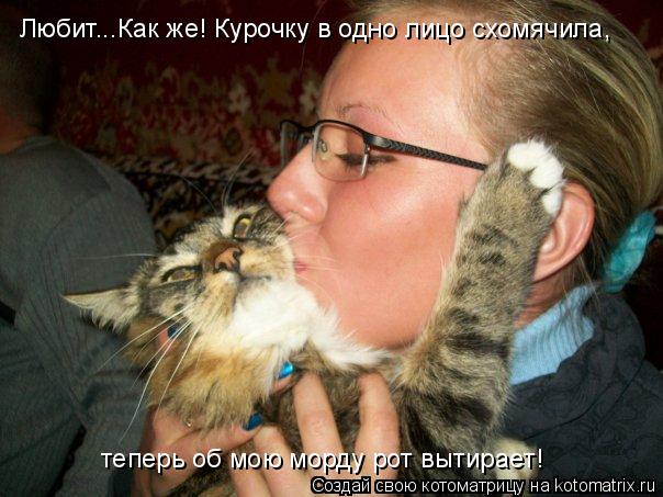 Котоматрица: Любит...Как же! Курочку в одно лицо схомячила,  теперь об мою морду рот вытирает!