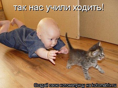 так нас учили ходить!... Котоматрица: так нас учили ходить!