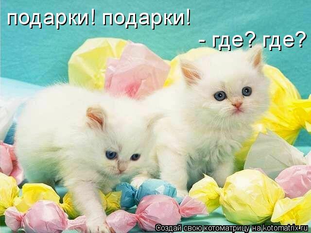 подарки! подарки! - где? где?... Котоматрица: подарки! подарки! - где? где?